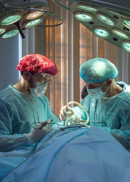 olga-guryanova-tMFeatBSS4s-unsplash